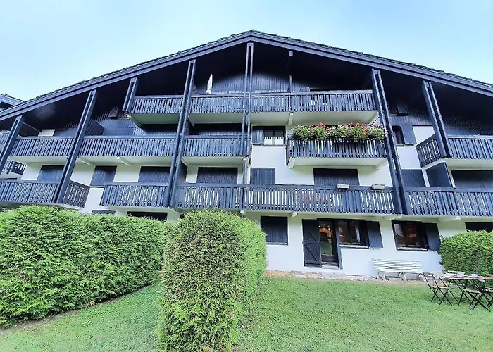 Vue Mont Blanc Avec Jardin