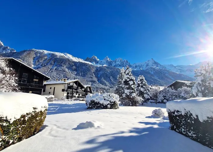 Vue Mont Blanc Avec Jardin Appartamento *