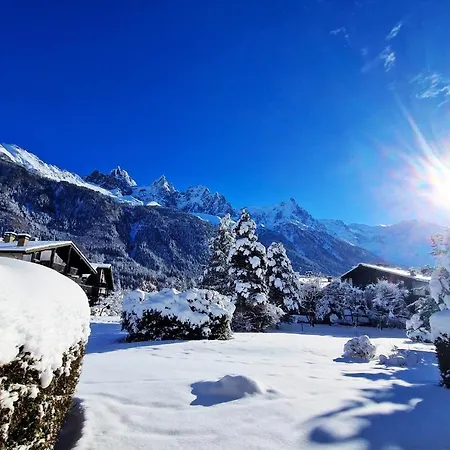 Vue Mont Blanc Avec Jardin * Шамони