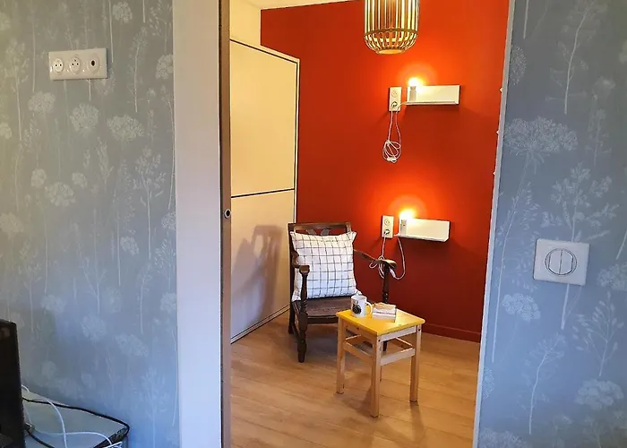 Vue Mont Blanc Avec Jardin * Chamonix