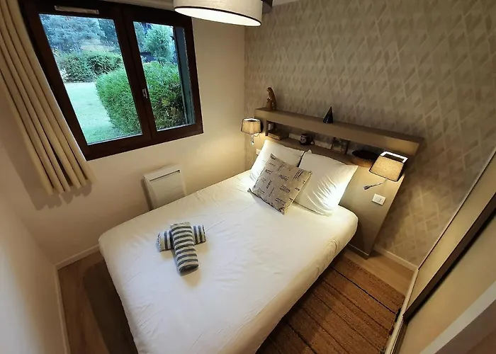 Vue Mont Blanc Avec Jardin Apartman