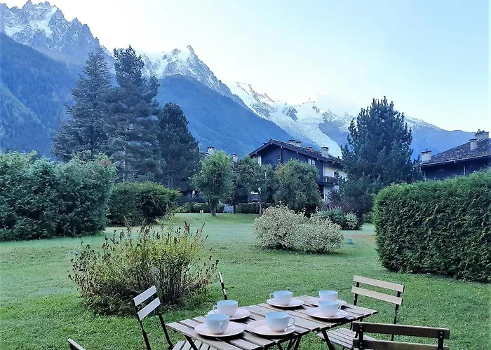 Vue Mont Blanc Avec Jardin