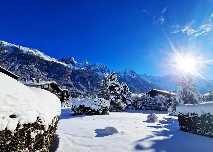 Vue Mont Blanc Avec Jardin * Chamonix
